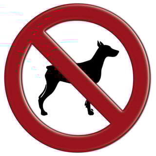 dog-banned-breedAdobeStock_42382302.jpg dog-banned-breedAdobeStock_42382302.jpg