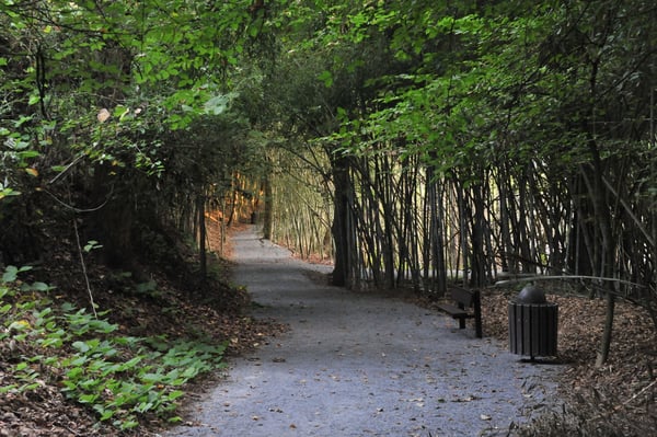 Wilderness Park Prattville Alabama