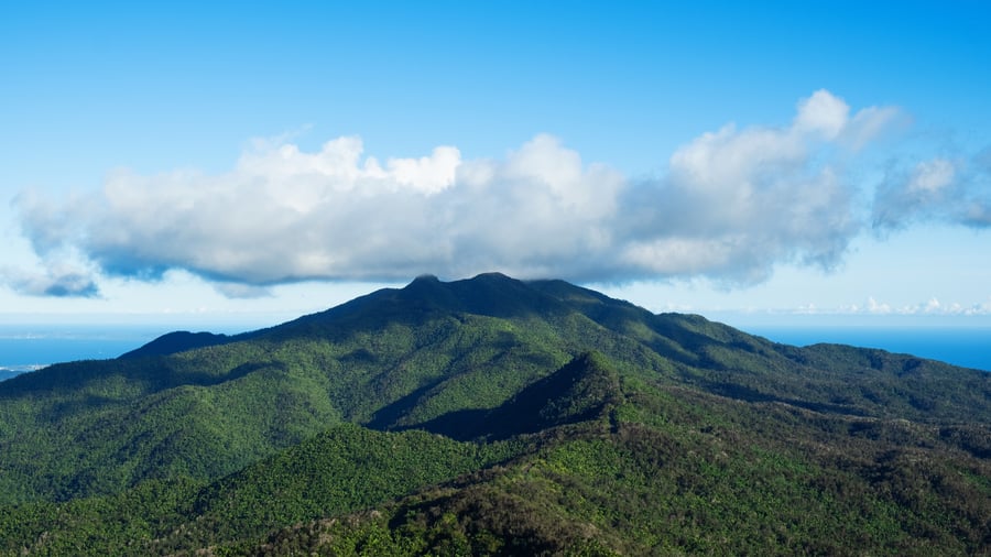 El Yunque rain forest in Puerto Rico