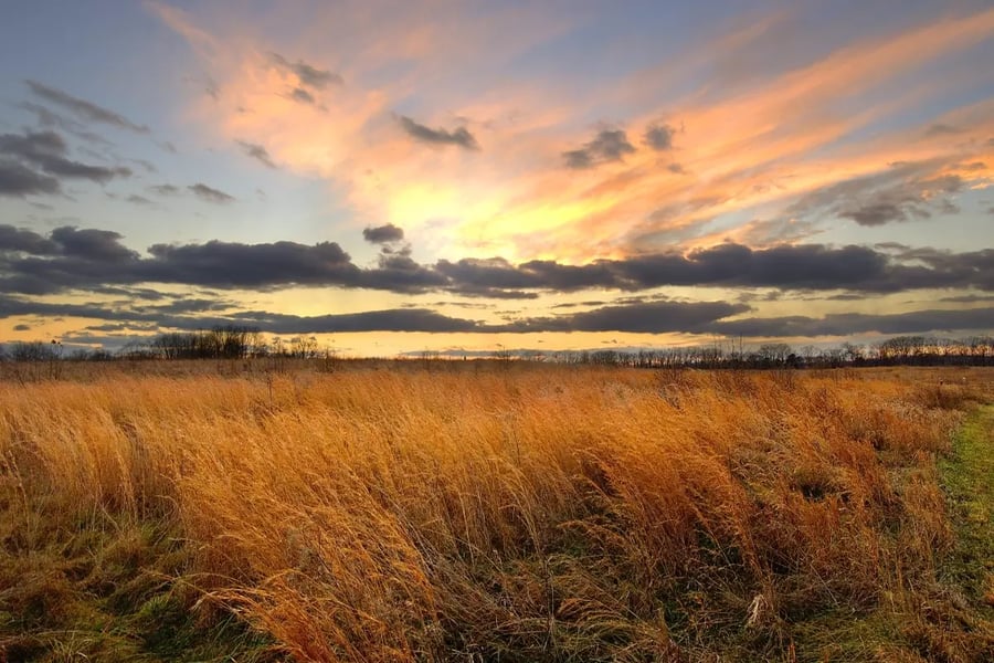 Occoquan Bay National Wildlife Refuge