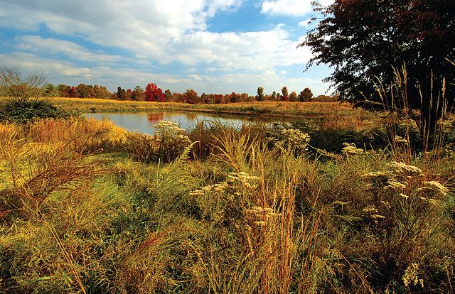 Woodbridge is home to many parks and nature trails