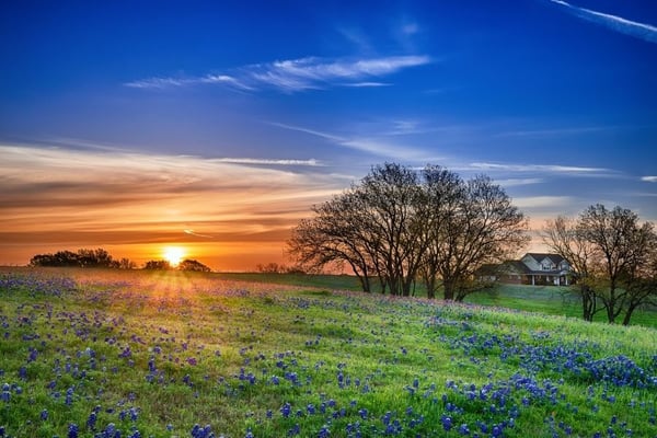 Exploring Fort Hood Neighborhoods