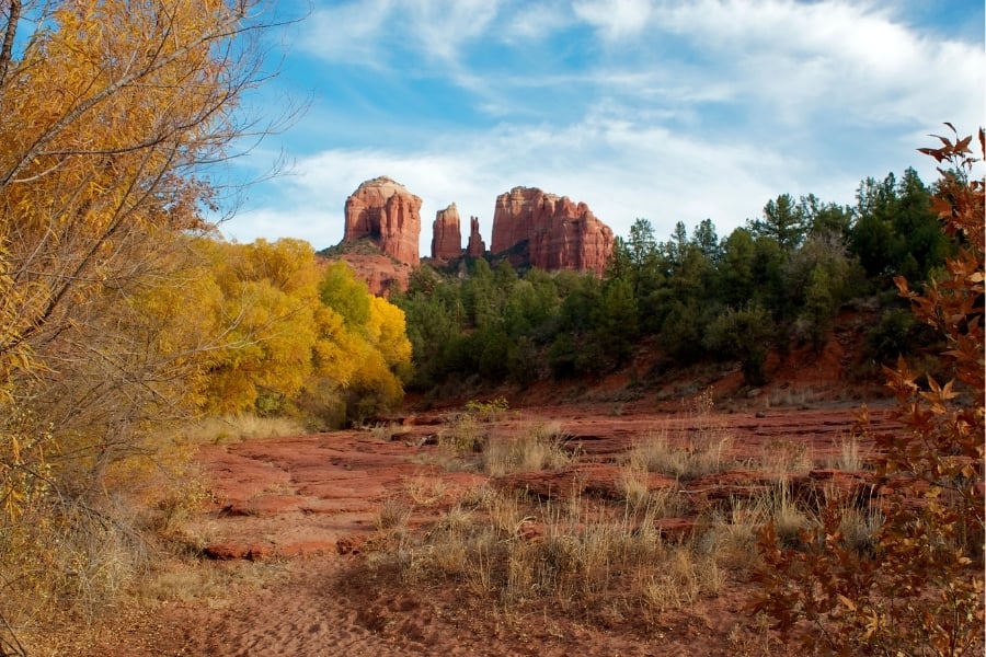 Fall color in Sedona