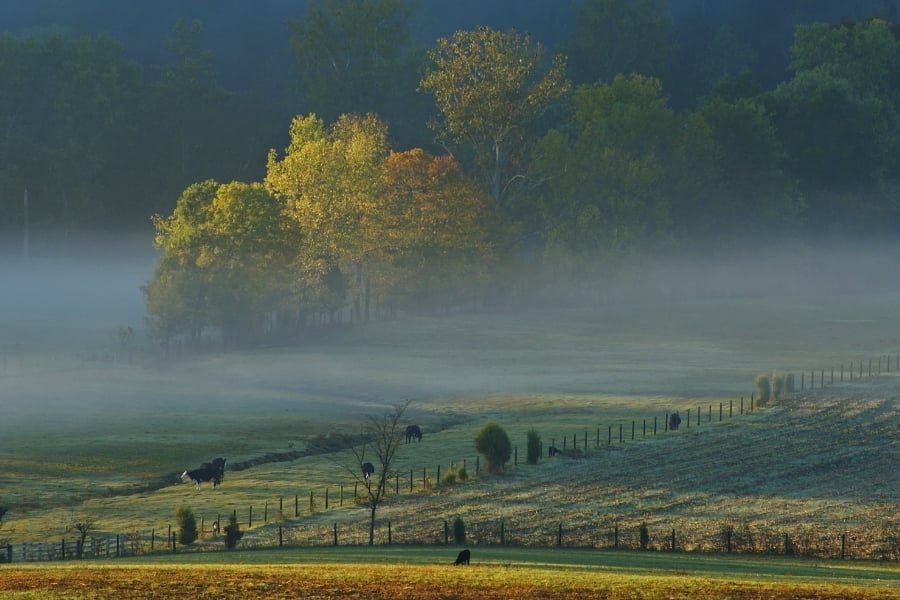 Landscape near Fort Campbell Kentucky which is a favorite army post