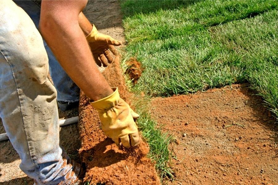 Laying sod at new home