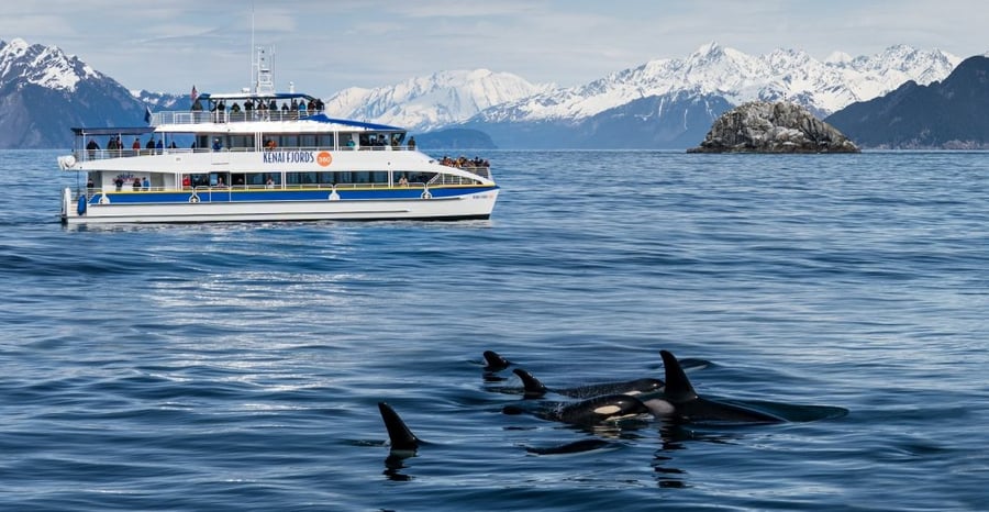 Major marine tours in Seward, Alaska