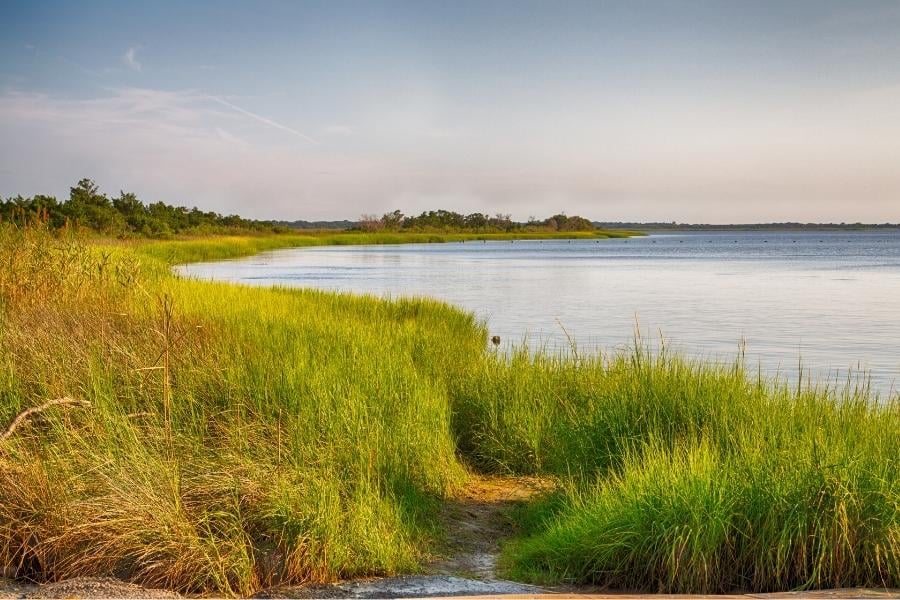 Cape Fear River