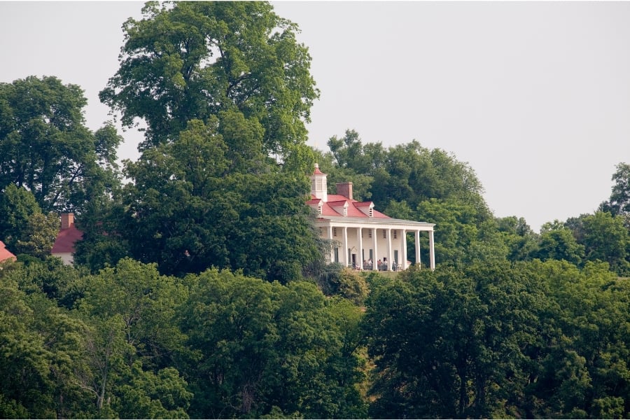 view of Mount Vernon through surrounding woods