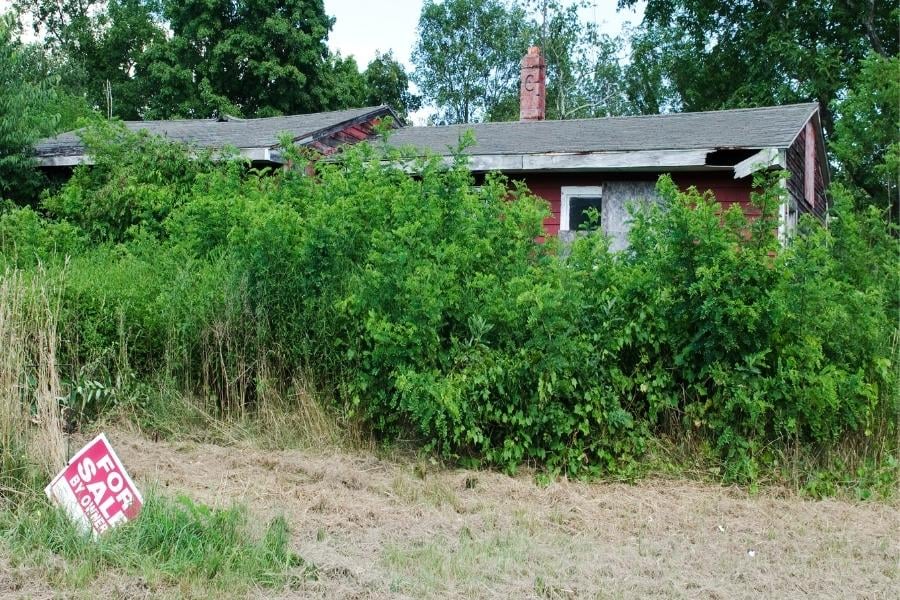 house in disrepair and overgrown bushes with for sale sign