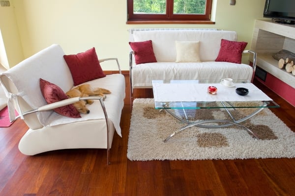 Don't include pets in your home listing photos. 