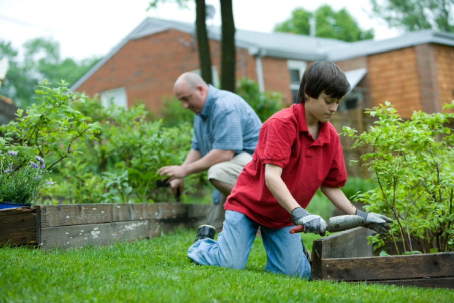 father and son doing yard work and gardening
