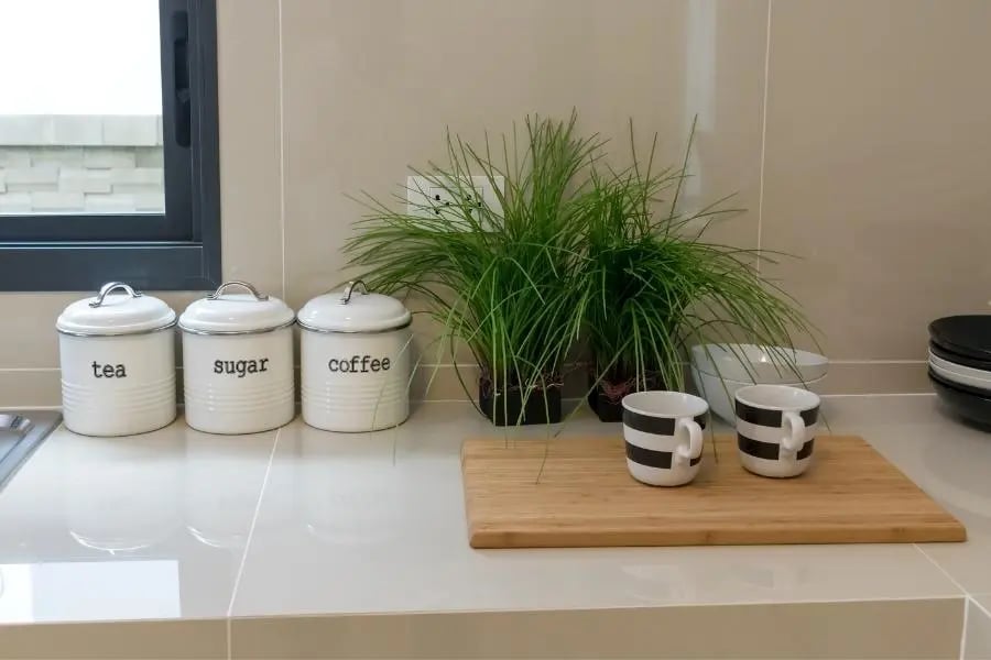 countertop with canisters, cutting board, plant, and mugs