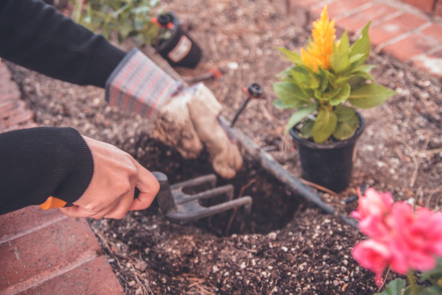 tending to flowerbeds before home sale