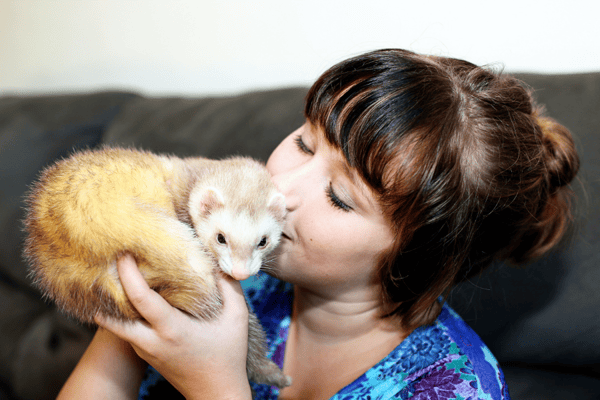 Understand which exotic pets are allowed in military housing. 