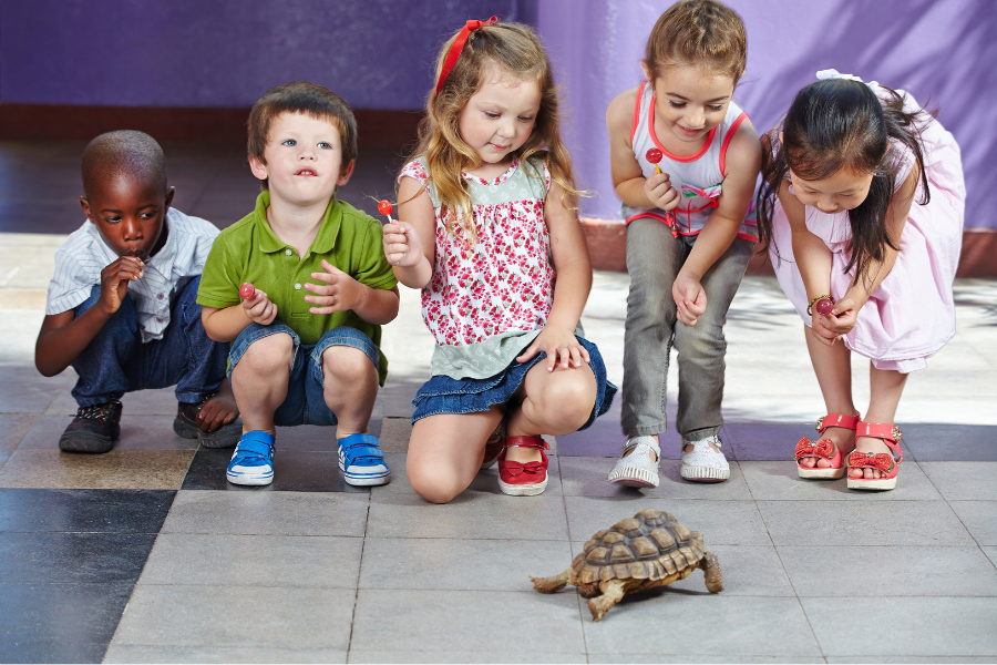 children with pet turtle