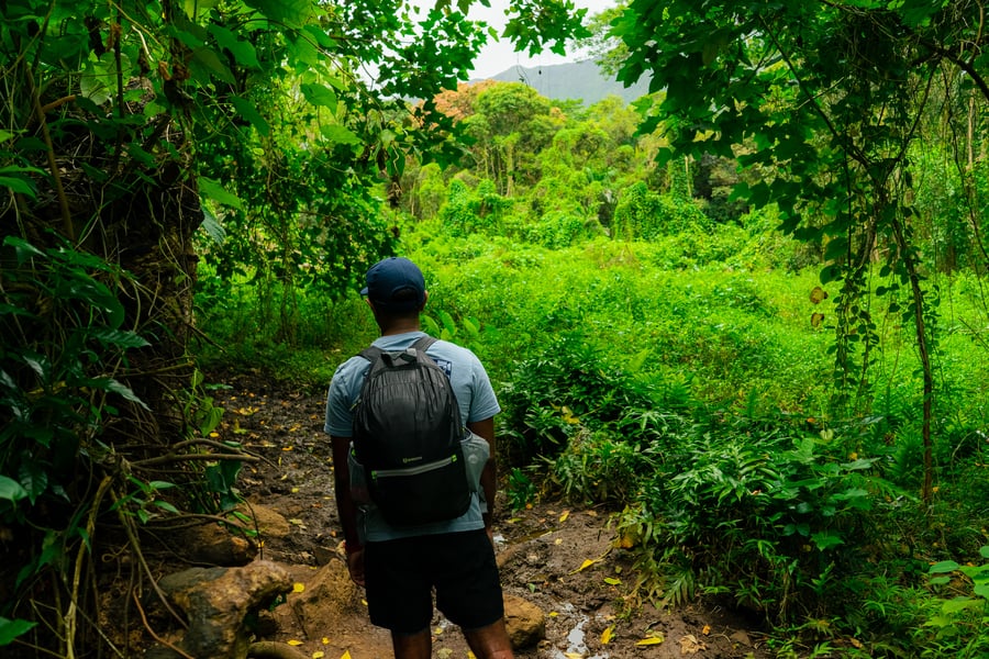 Maunawili Falls