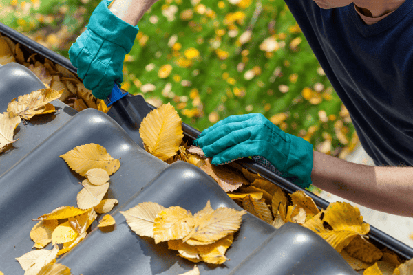 summer home maintenance