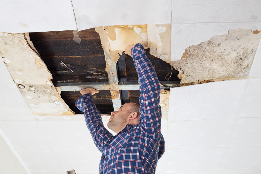 man examining water damage on ceiling