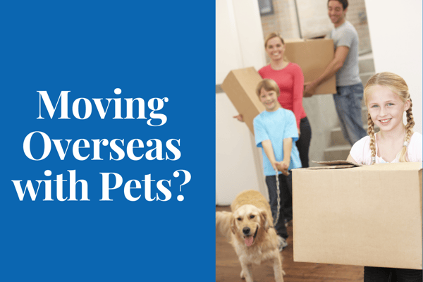 Moving Overseas with Pets_ (2)