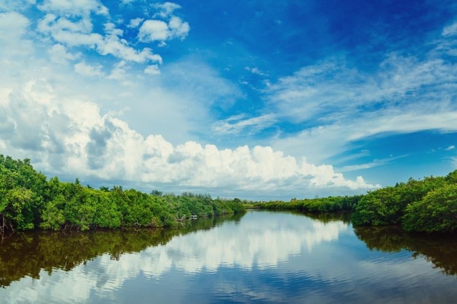 Everglades National Park 