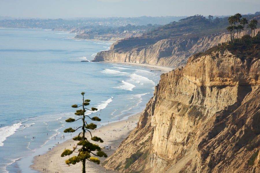 Torrey Pines Beach and Coastal Preserve in CA