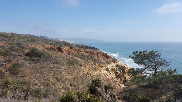 Torrey Pines State Natural Reserve