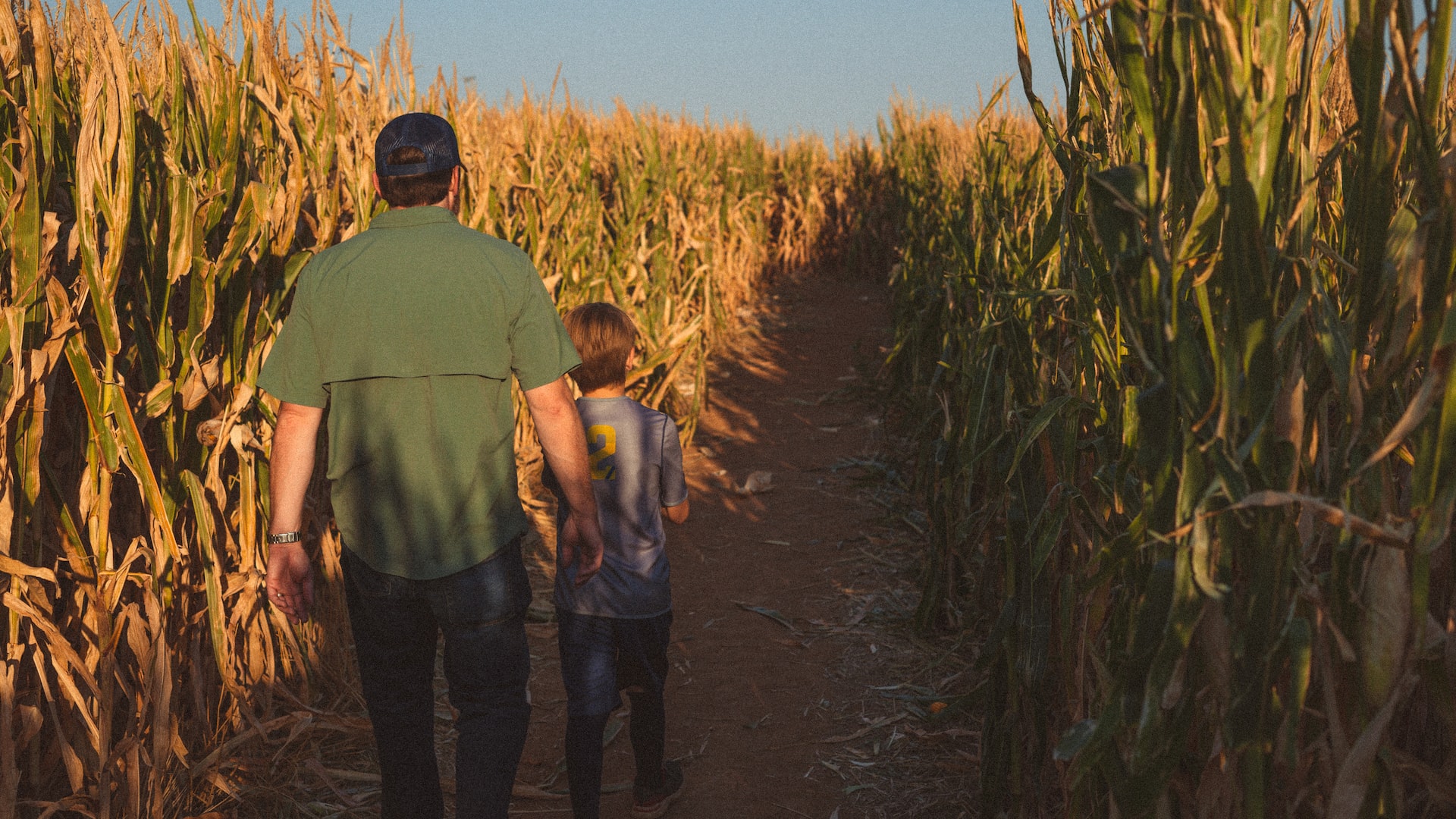 father and child in corn maze