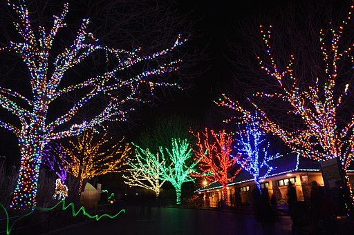 Zoo Lights in D.C. 