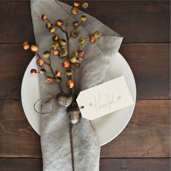 Thanksgiving napkin and place setting