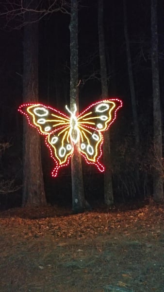 Fantasy in Lights Callaway Gardens