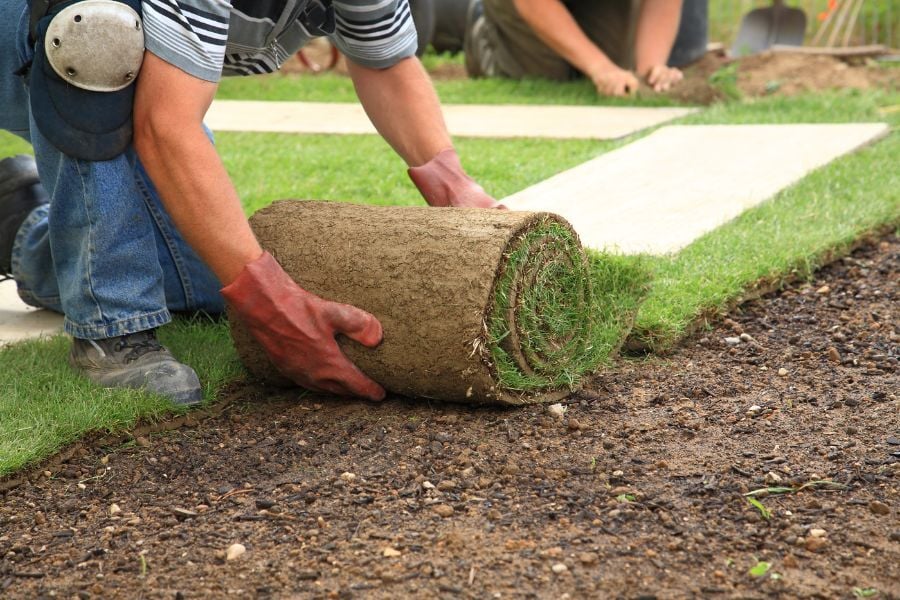 Man wearing red gloves, jeans, and knee pads rolls out sod on soil yard.