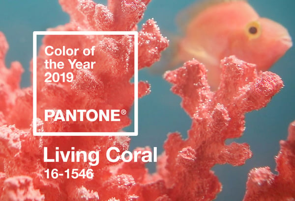 Pantone's 2019 Color of the Year