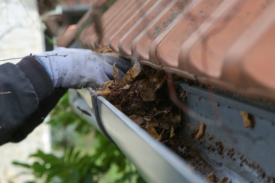 gloved hand cleaning leaves from gutters