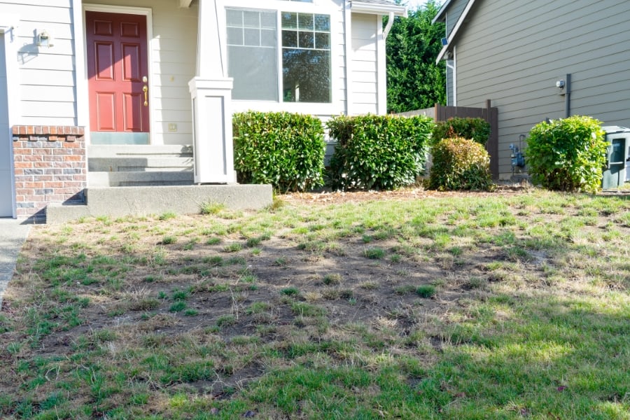yard with sparse grass and front door