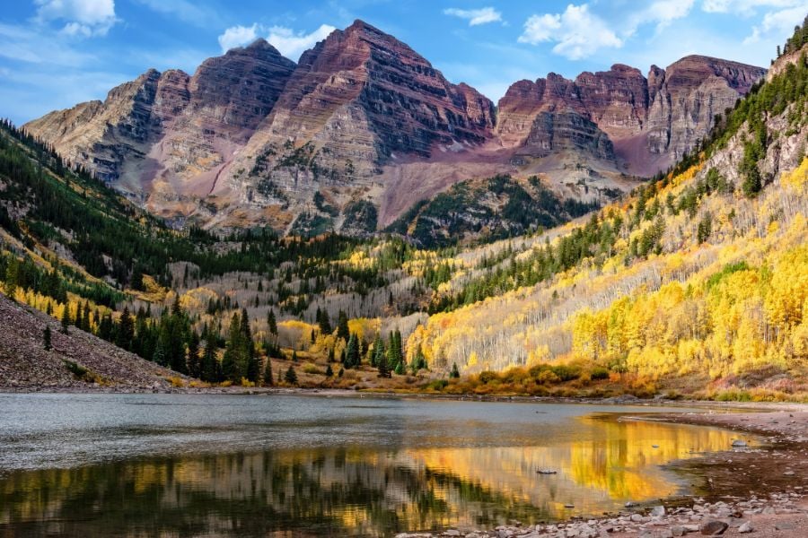 View of aspens surrounding water with mountains in the background.