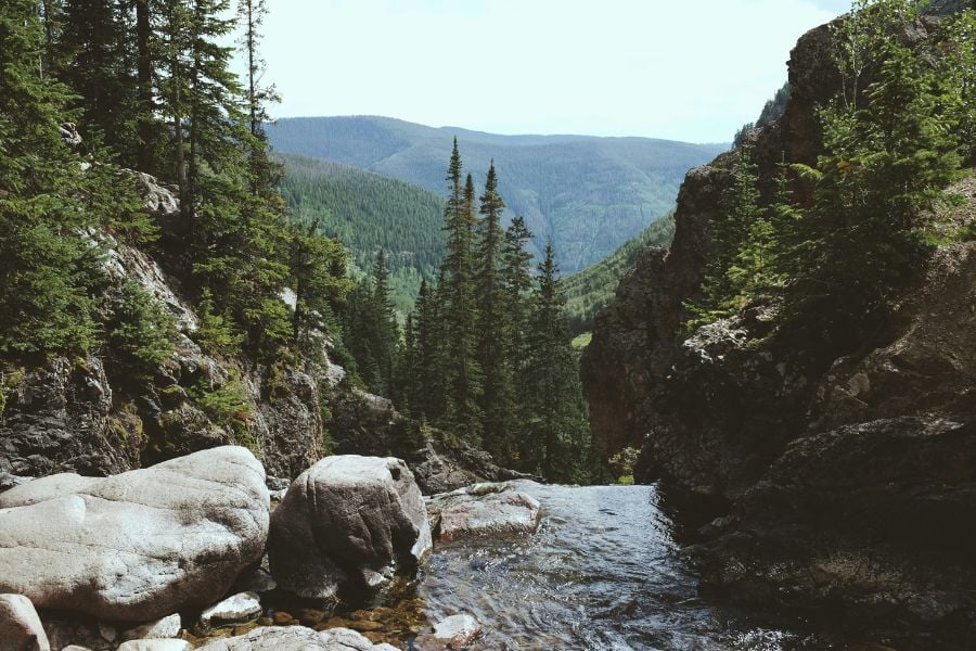 Lush, deep green foliage with water trickling down mountainside in Vail, Colorado