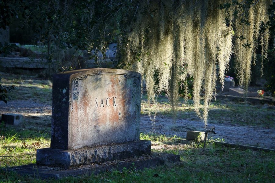 Tombstone in Bonaventure Cemetery in Savannah Georgia with tree hanging low. 