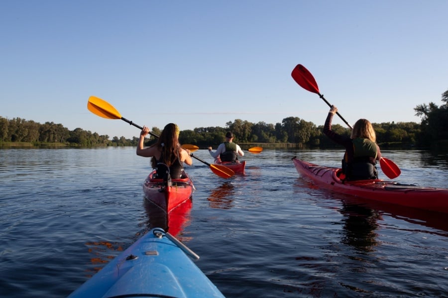 Family kayaking down river lined with trees. 