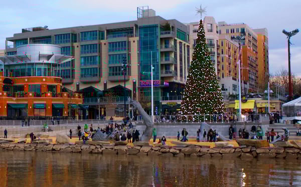 National_Harbor_MD_Christmas_2011.jpg National Harbor at Christmas