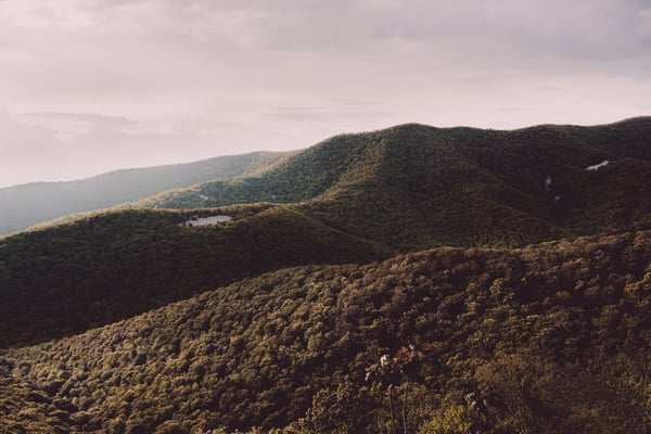 Explore the outdoors near Quantico, VA. 