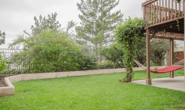 Temecula Single Family Home for sale back yard