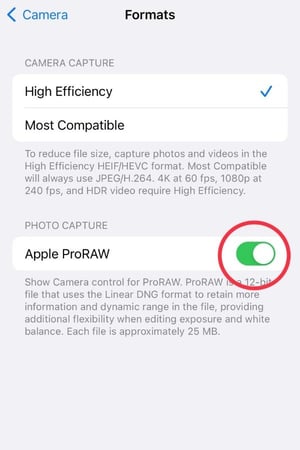 screenshot of iPhone RAW camera setting