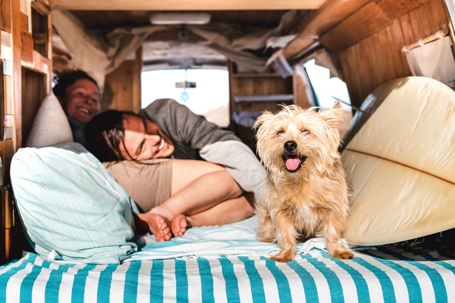 couple and dog in RV