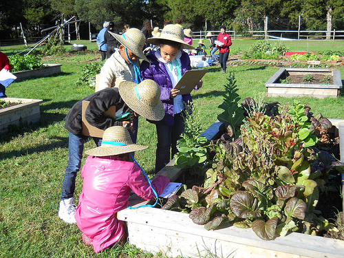 The Arcadia farm is close to the hustle and bustle of Fort Belvoir. 