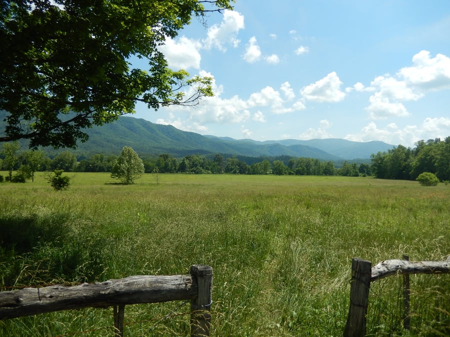 Great Smoky Mountains National Park