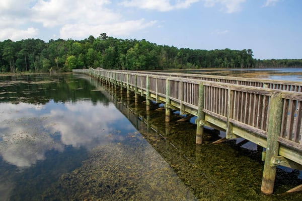 Newport News Park