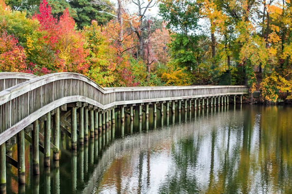 Noland Trail in the fall