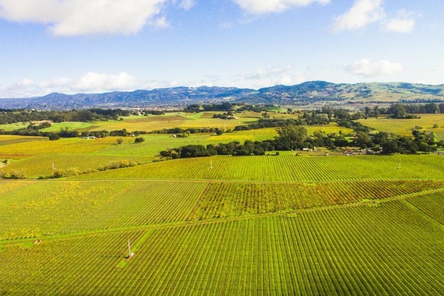 aerial view of napa valley
