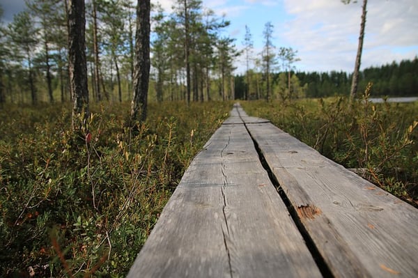 Explore Havelock, NC, near MCAS Cherry Point. 