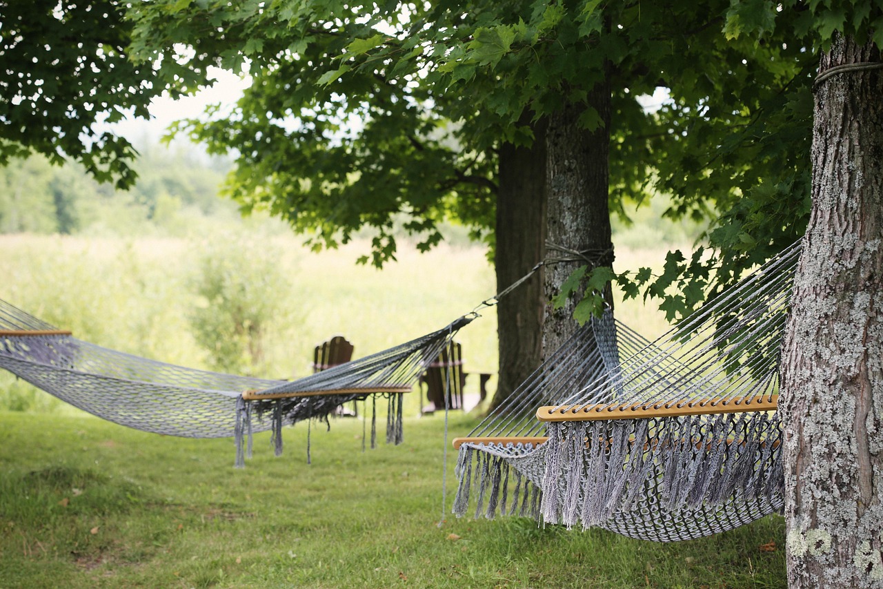 two hammocks strung between trees